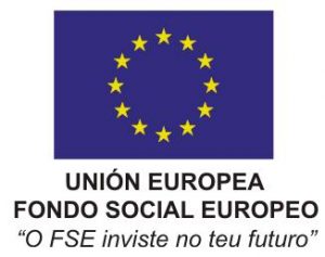 logo fse en gallego